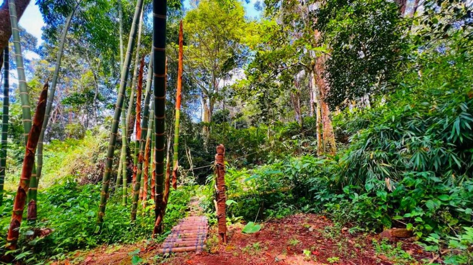 Bamboo Dale Resort, Munnar Exteriér fotografie