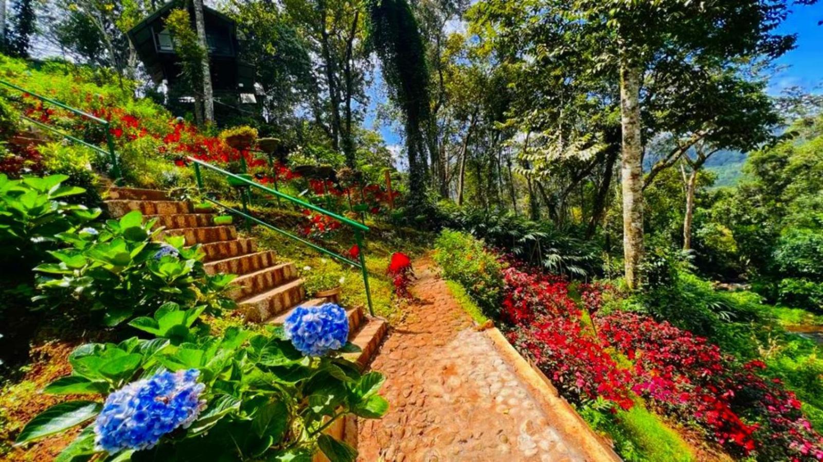 Bamboo Dale Resort, Munnar Exteriér fotografie