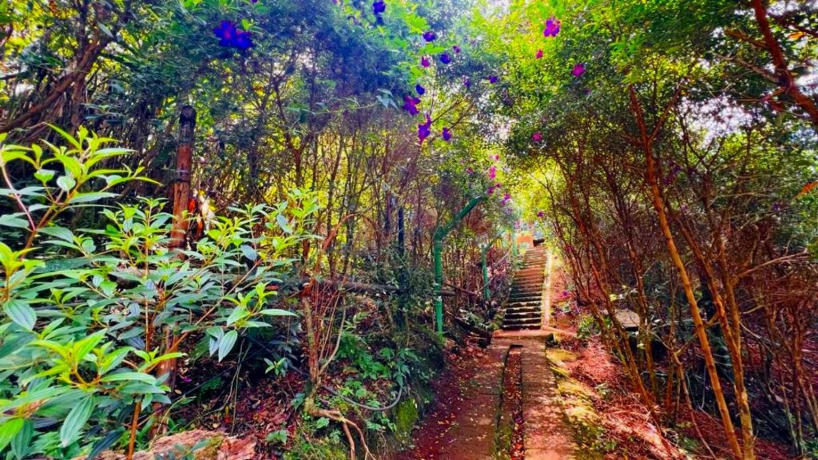 Bamboo Dale Resort, Munnar Exteriér fotografie