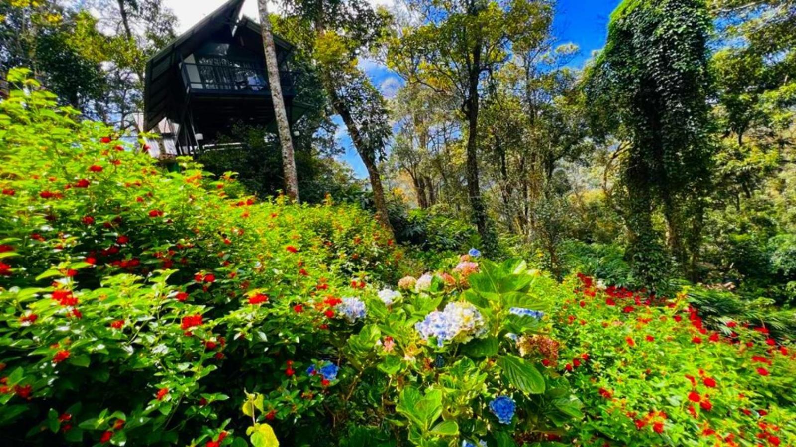 Bamboo Dale Resort, Munnar Exteriér fotografie