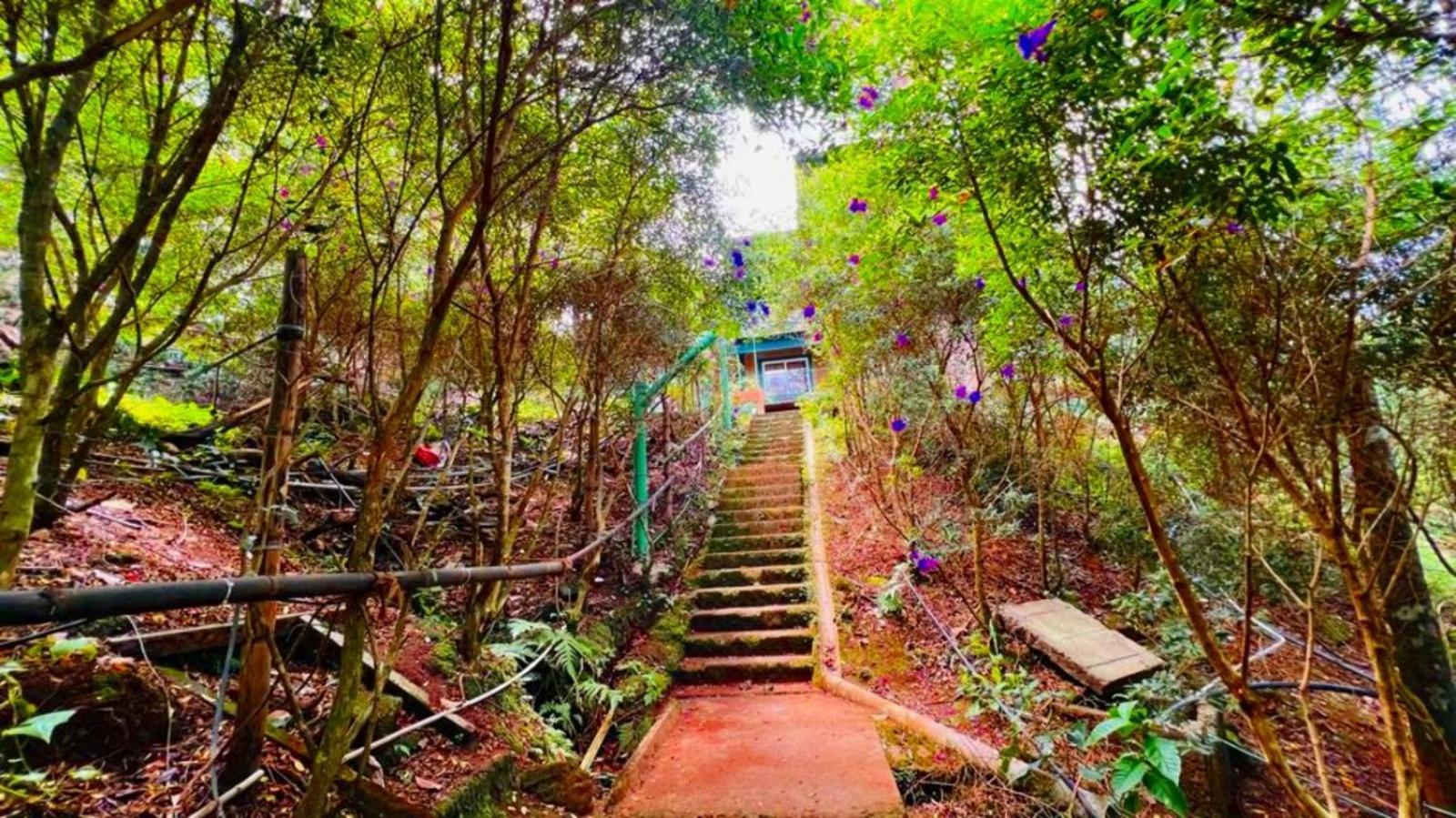Bamboo Dale Resort, Munnar Exteriér fotografie