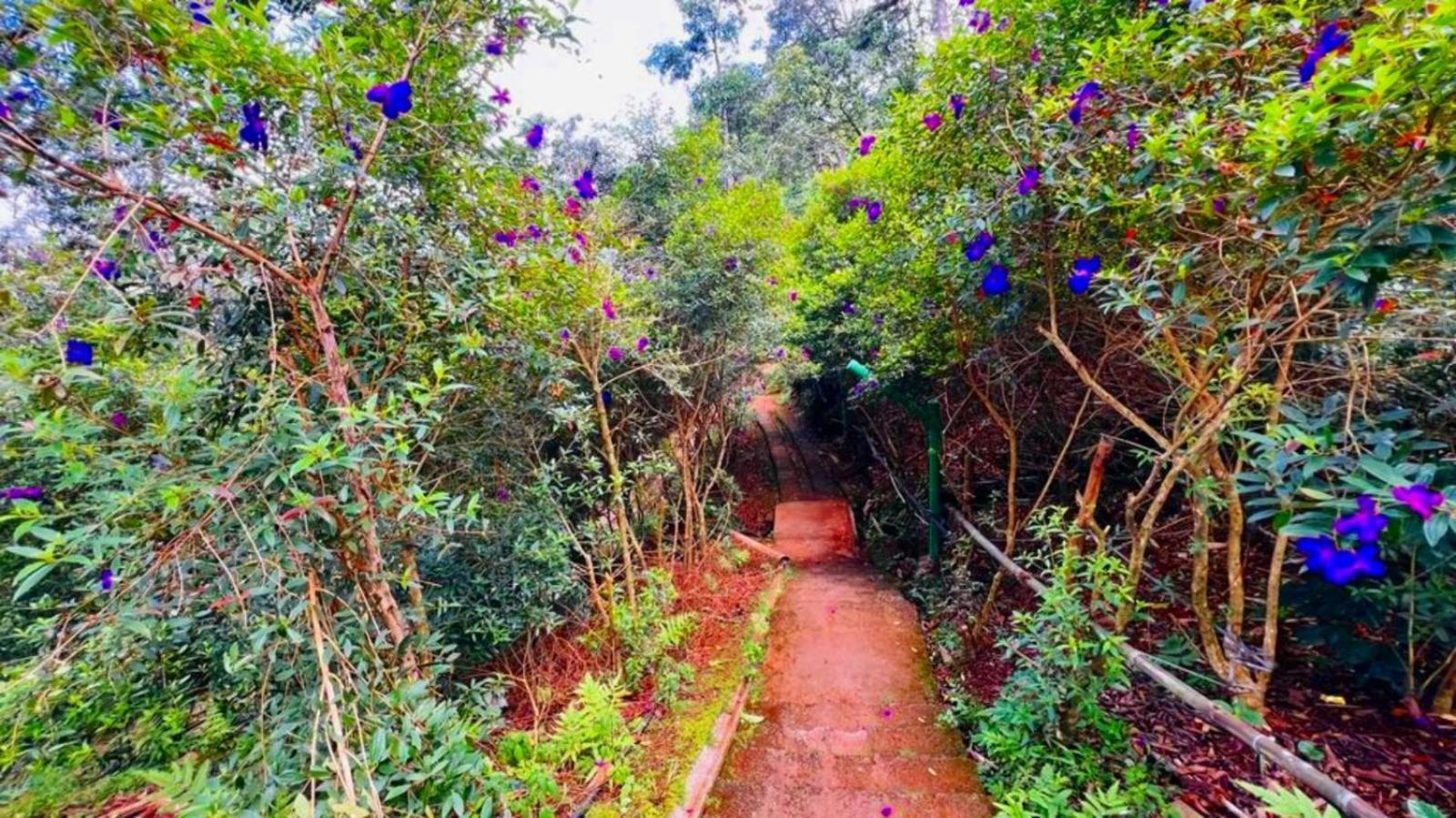 Bamboo Dale Resort, Munnar Exteriér fotografie