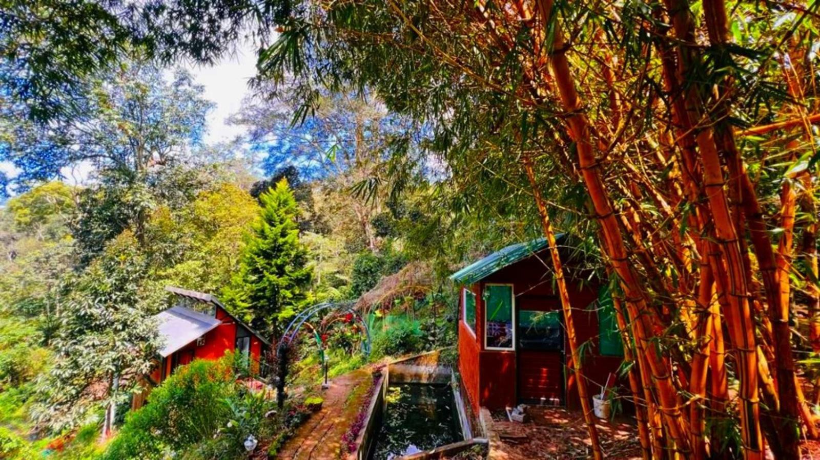 Bamboo Dale Resort, Munnar Exteriér fotografie