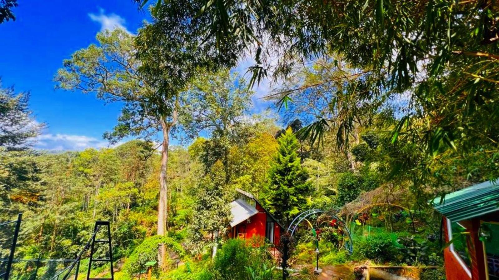 Bamboo Dale Resort, Munnar Exteriér fotografie
