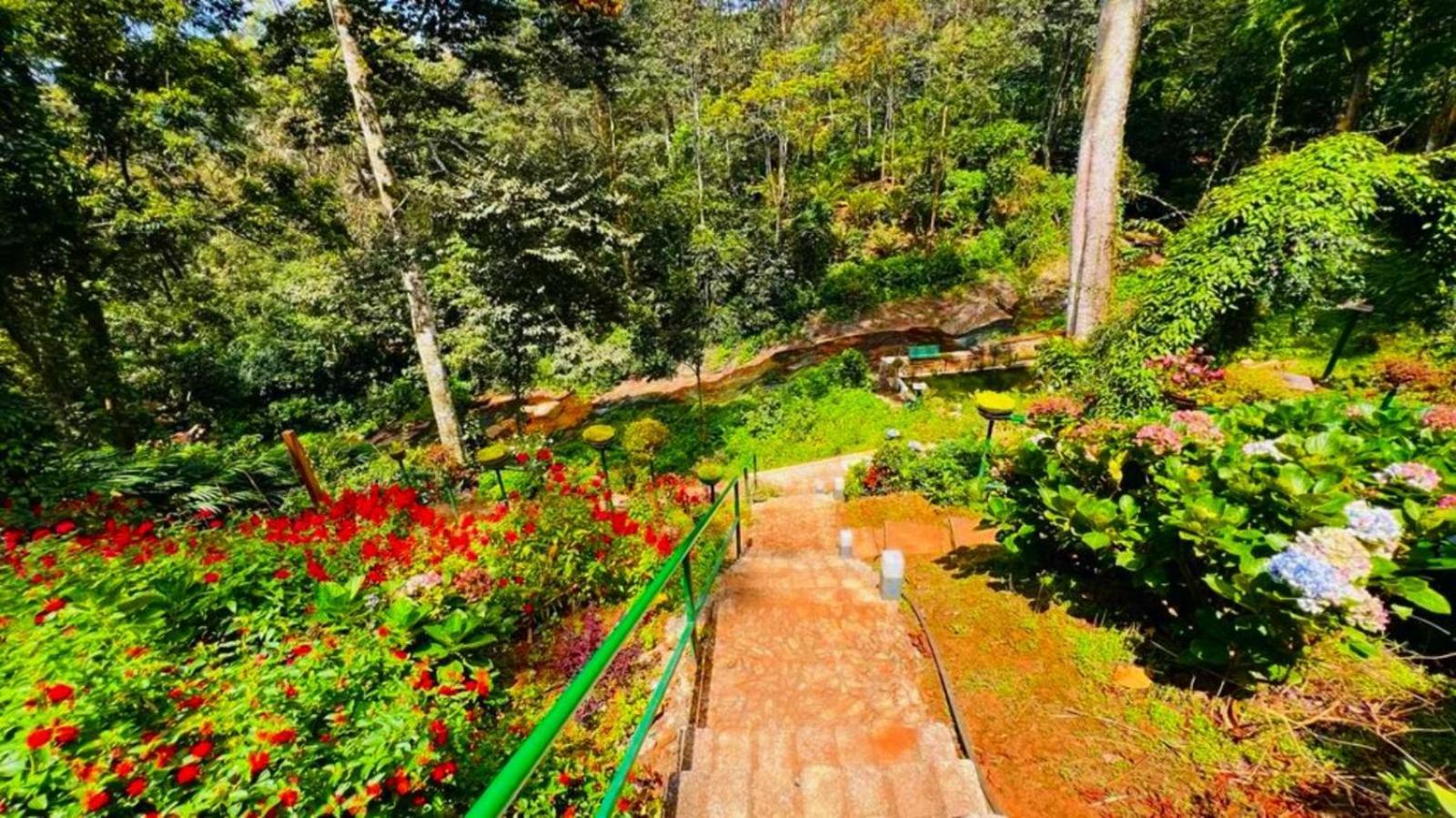 Bamboo Dale Resort, Munnar Exteriér fotografie