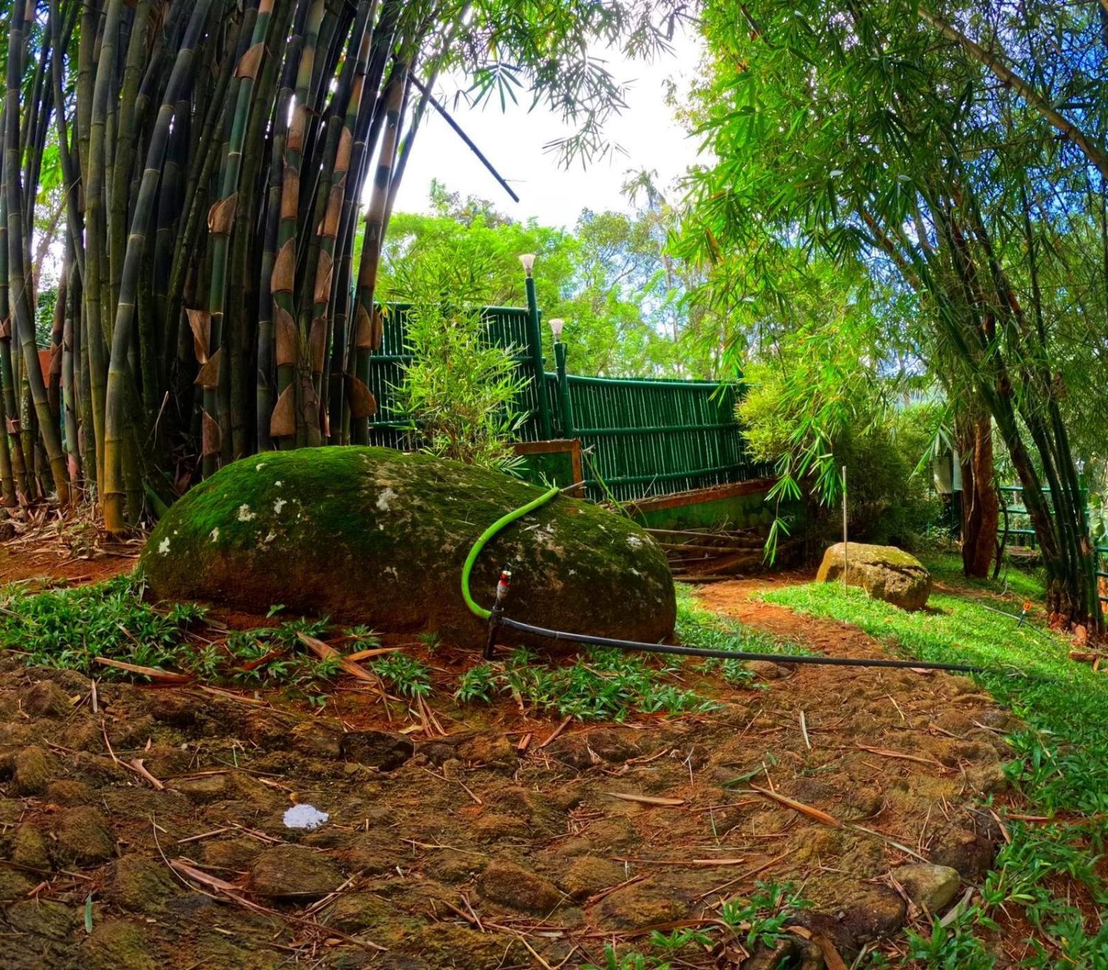Bamboo Dale Resort, Munnar Exteriér fotografie