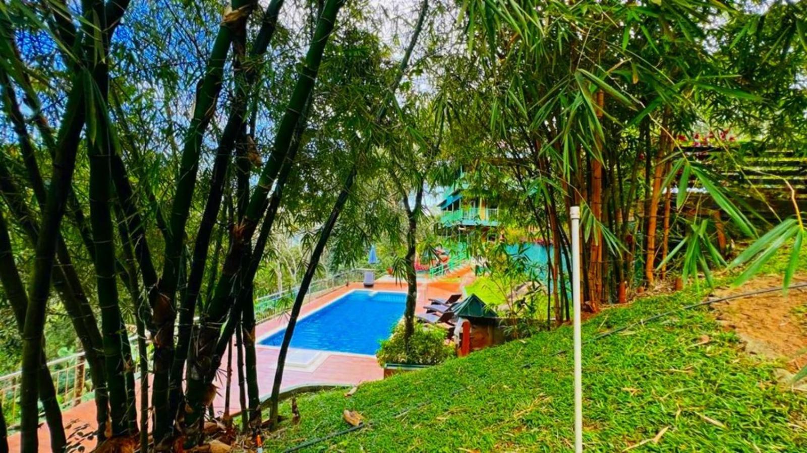 Bamboo Dale Resort, Munnar Exteriér fotografie
