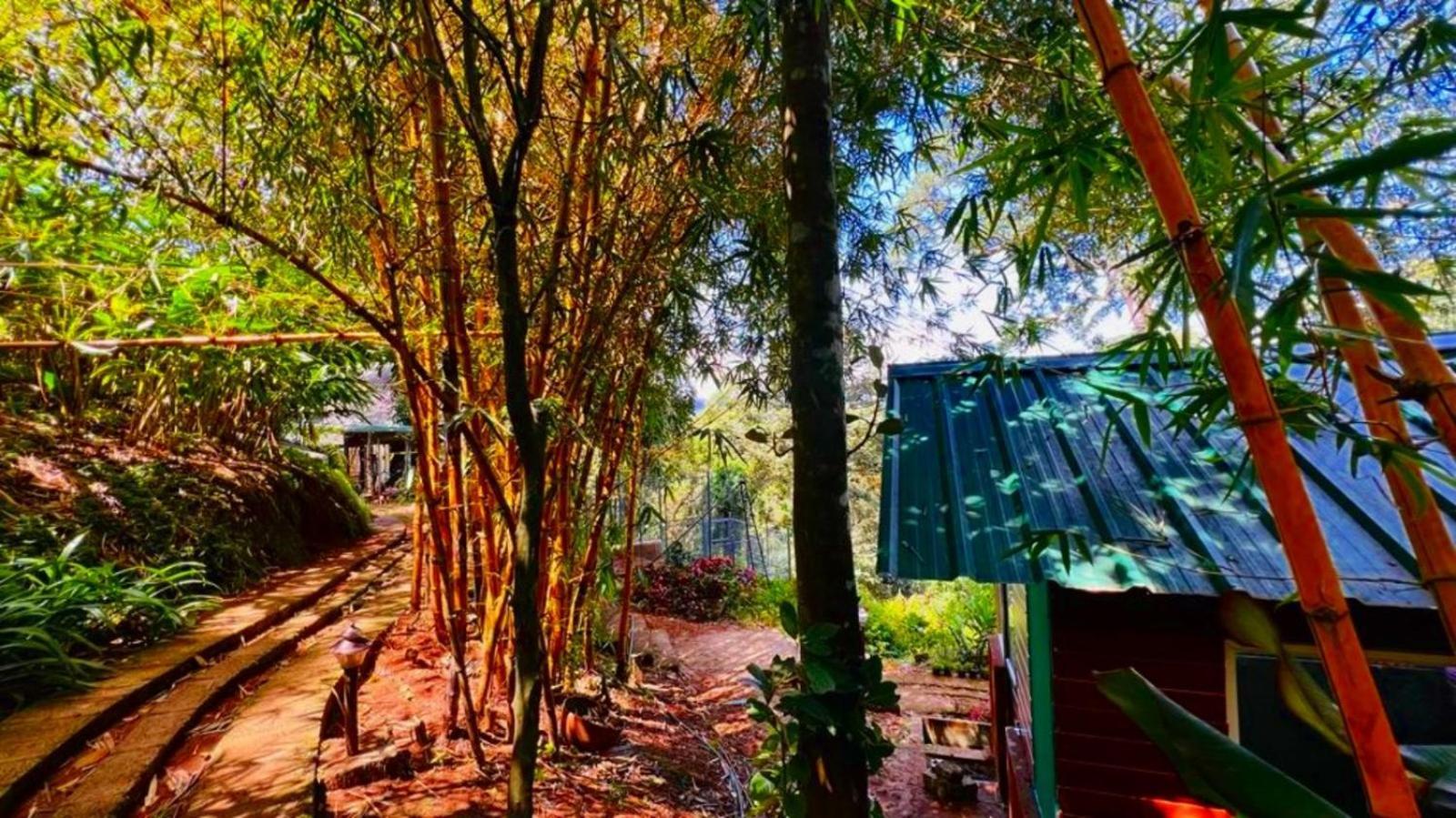 Bamboo Dale Resort, Munnar Exteriér fotografie