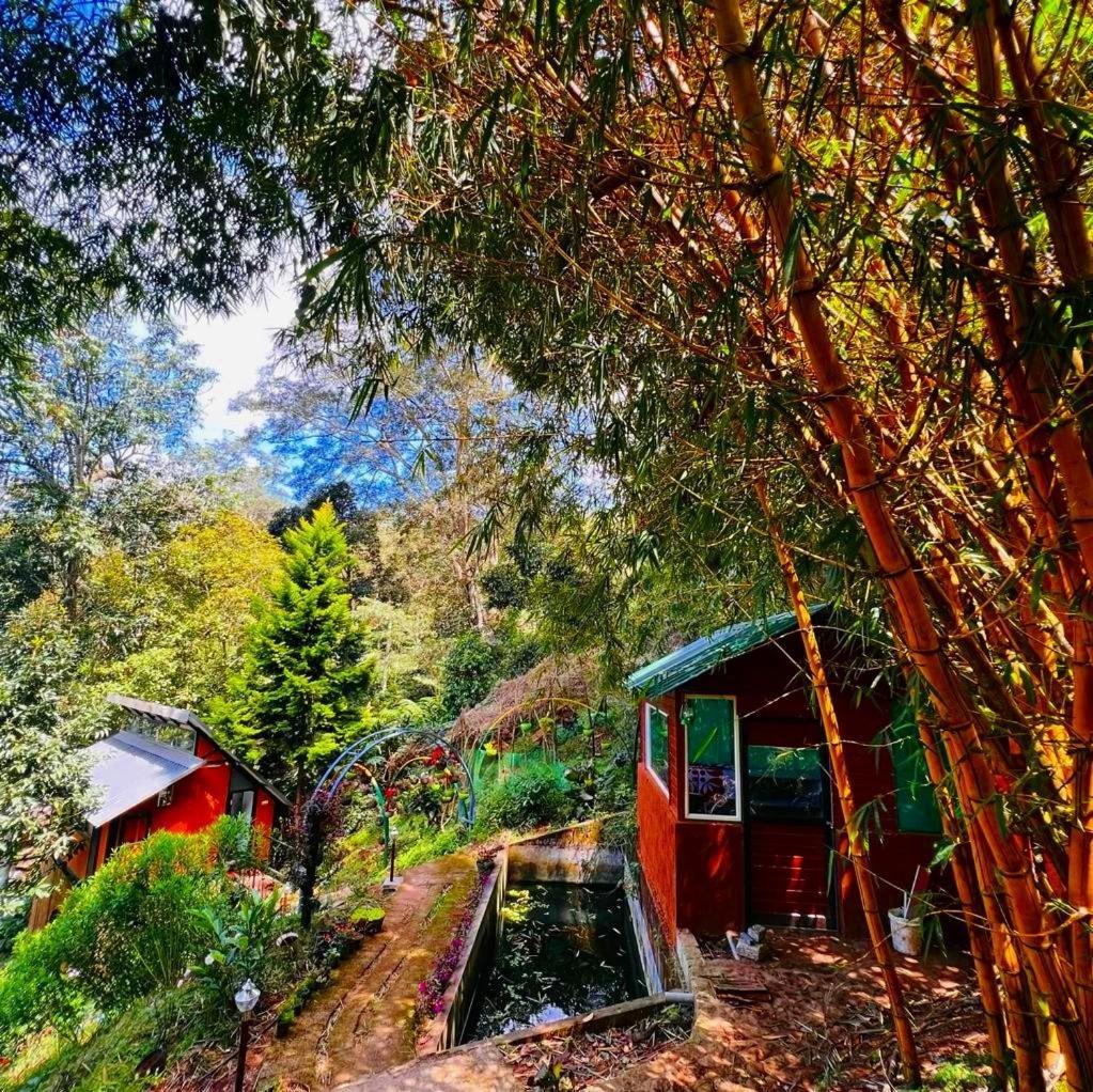 Bamboo Dale Resort, Munnar Exteriér fotografie