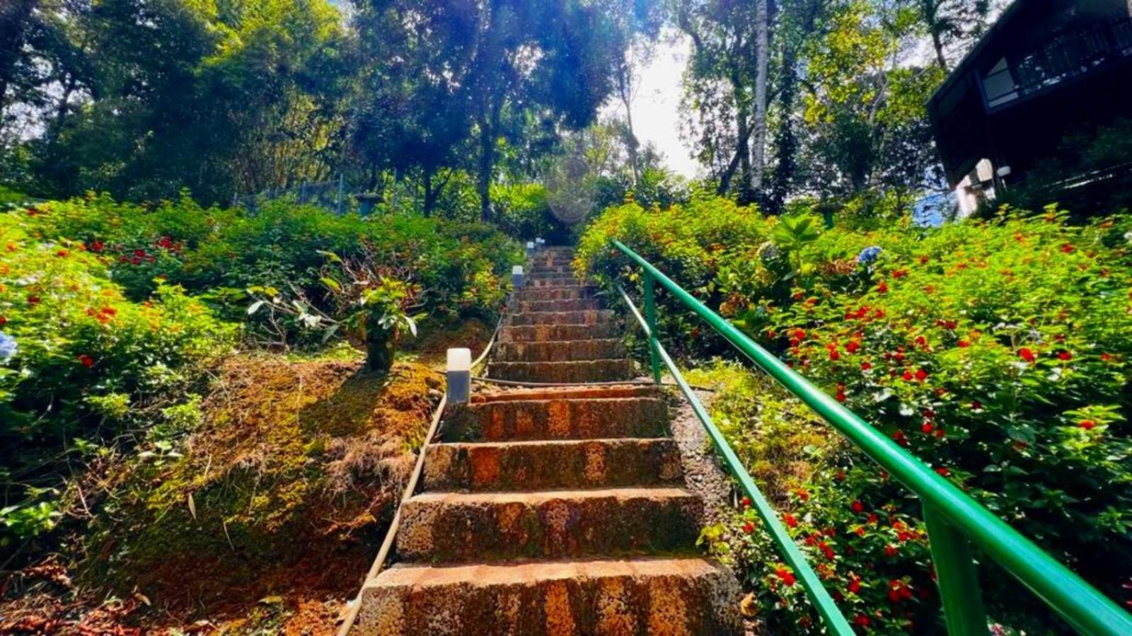 Bamboo Dale Resort, Munnar Exteriér fotografie