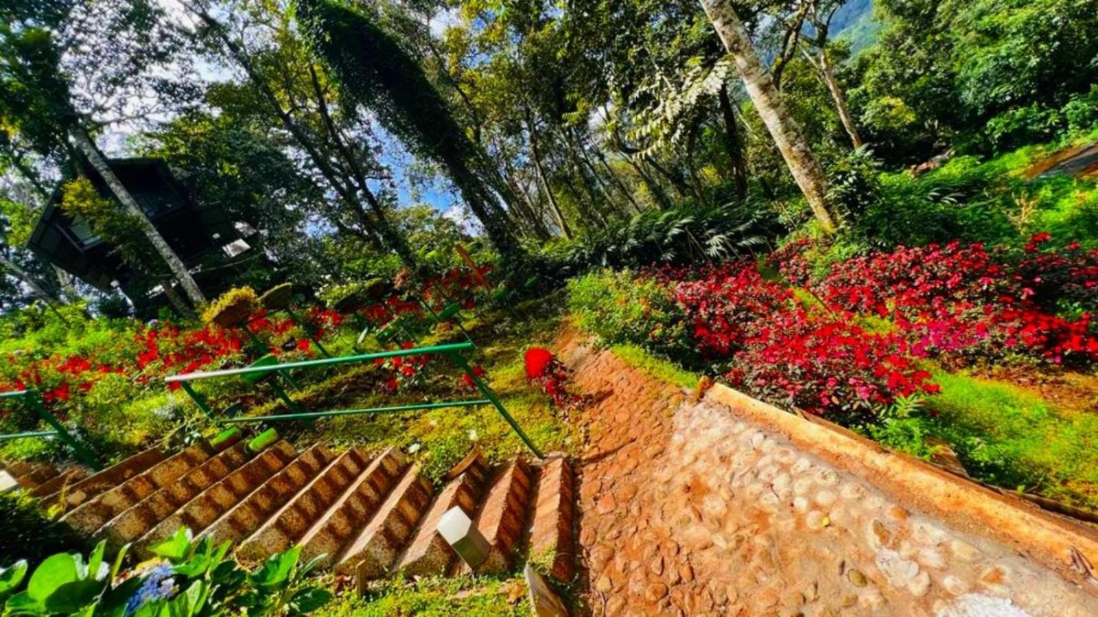 Bamboo Dale Resort, Munnar Exteriér fotografie