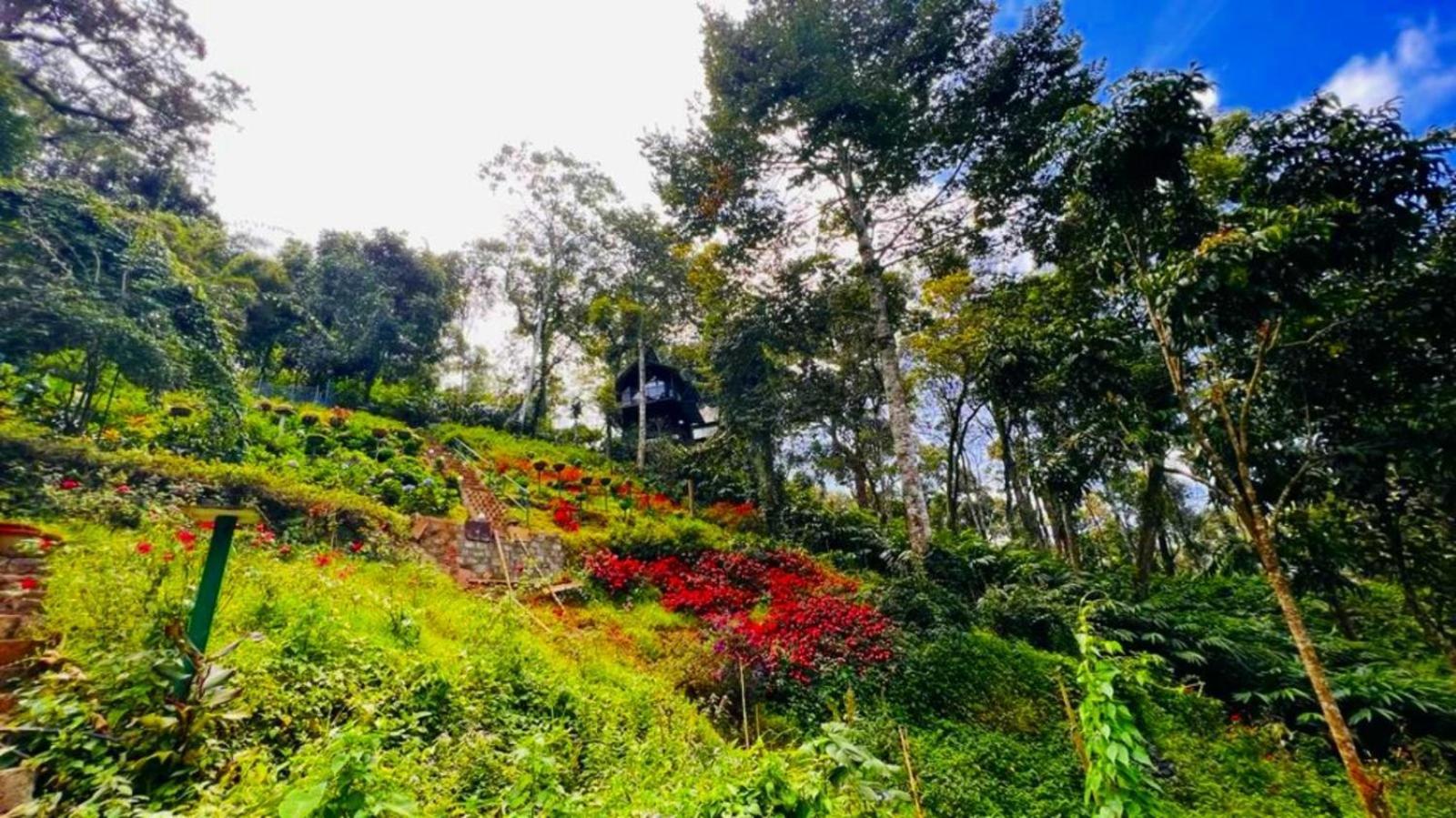 Bamboo Dale Resort, Munnar Exteriér fotografie