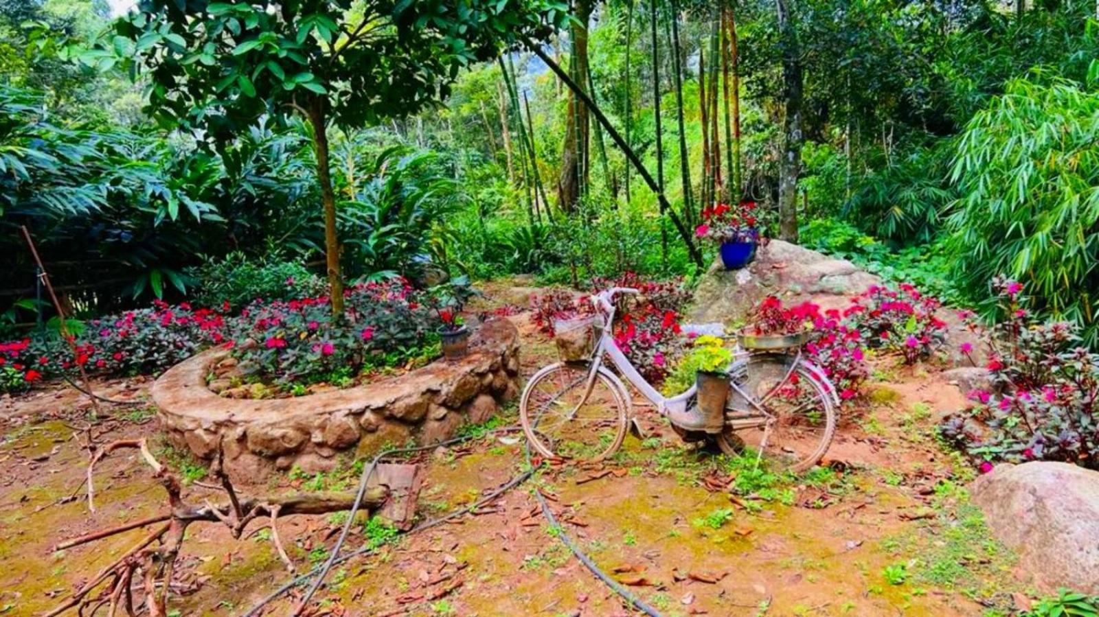 Bamboo Dale Resort, Munnar Exteriér fotografie