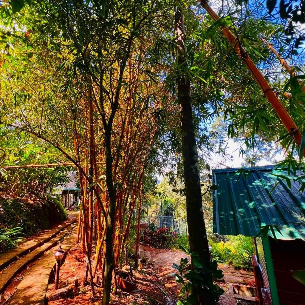 Bamboo Dale Resort, Munnar Exteriér fotografie