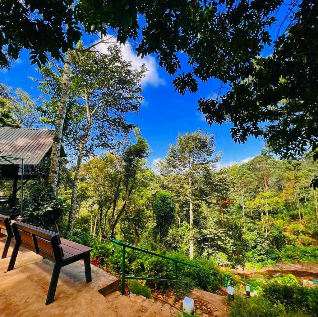 Bamboo Dale Resort, Munnar Exteriér fotografie