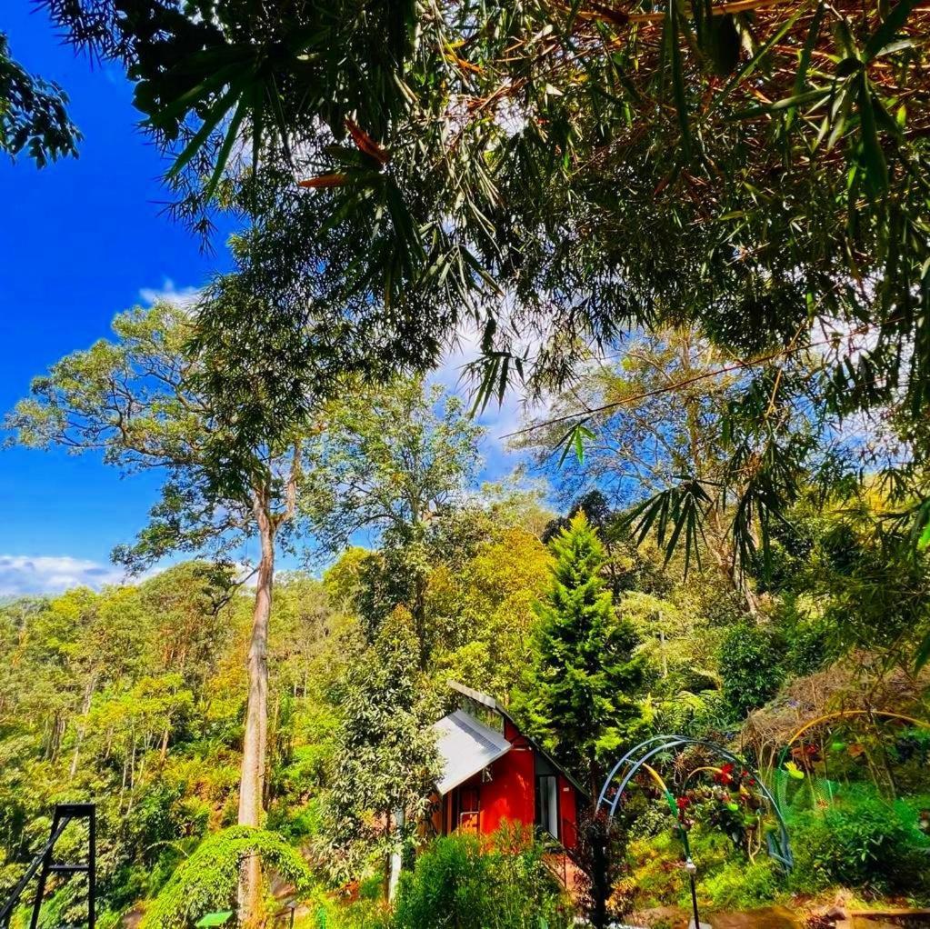 Bamboo Dale Resort, Munnar Exteriér fotografie