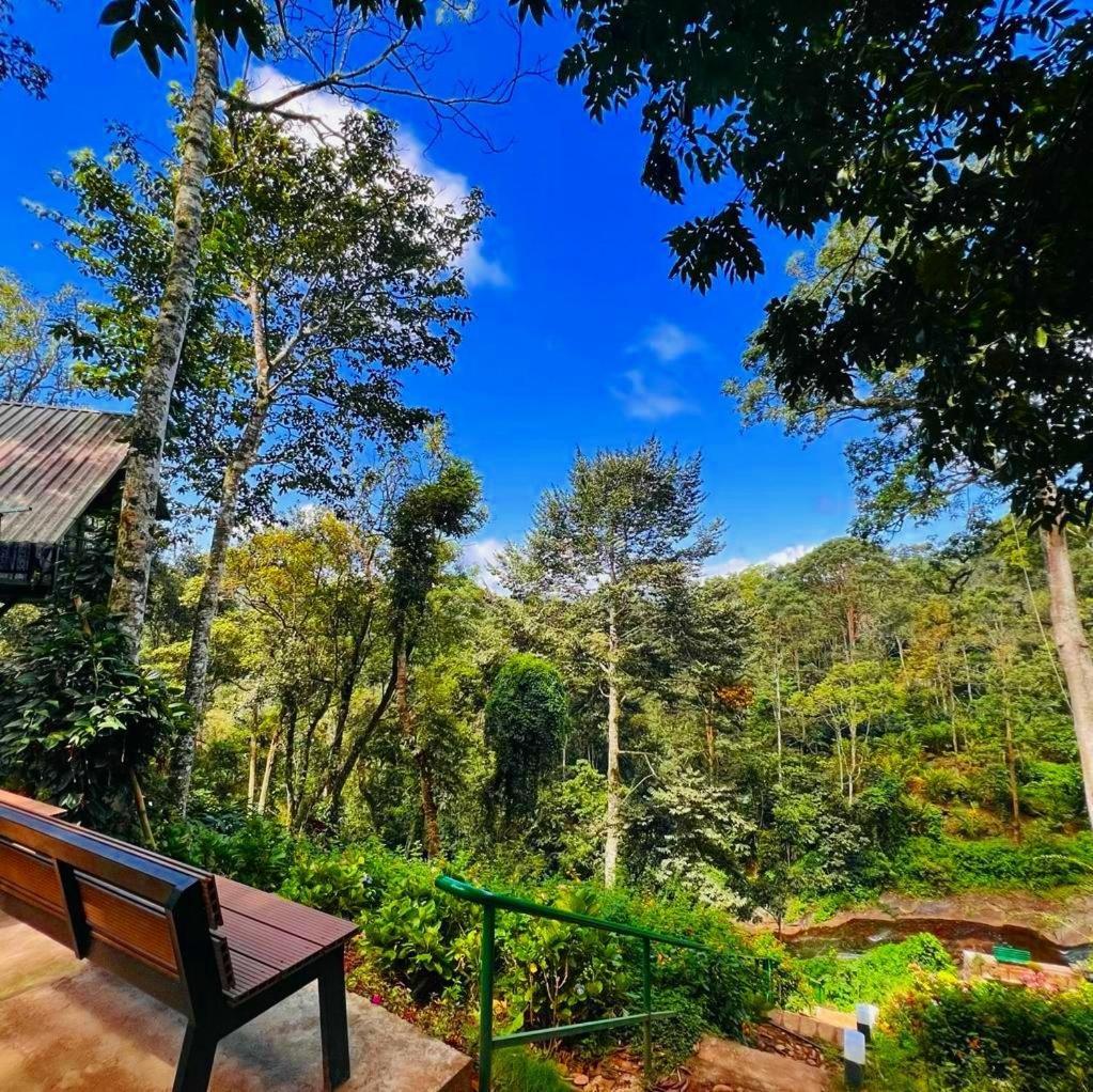 Bamboo Dale Resort, Munnar Exteriér fotografie