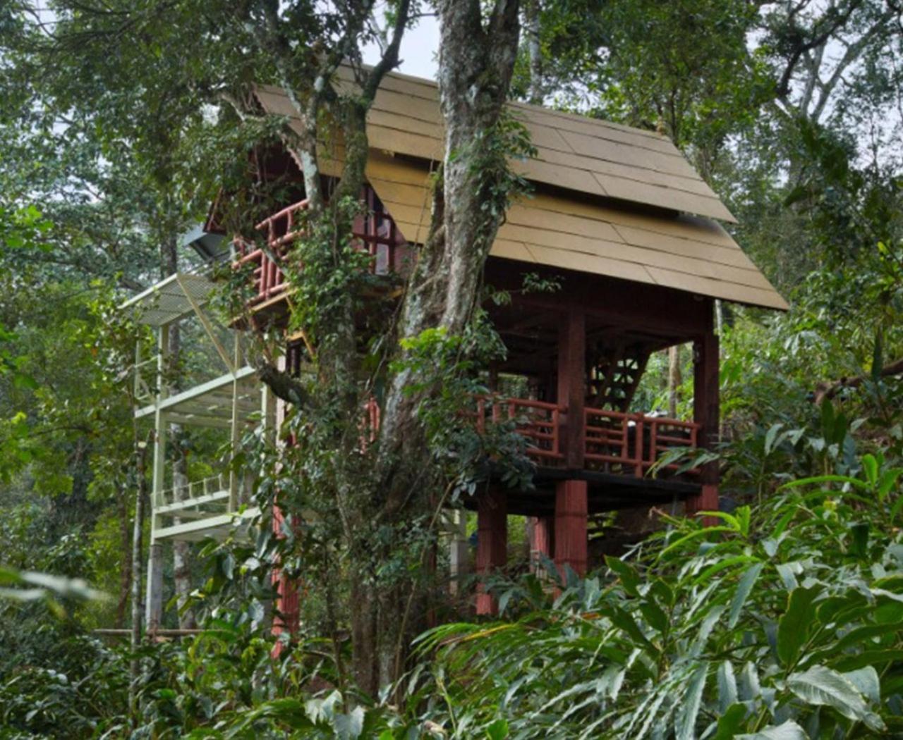 Bamboo Dale Resort, Munnar Exteriér fotografie