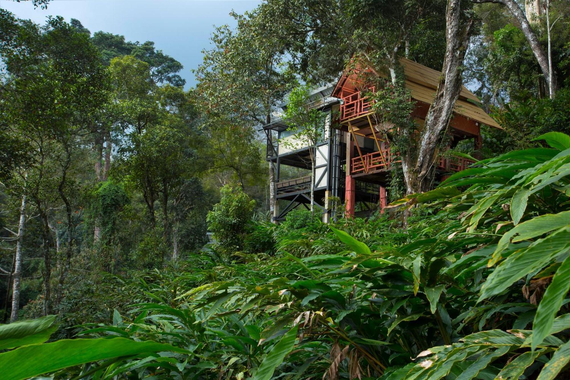 Bamboo Dale Resort, Munnar Exteriér fotografie