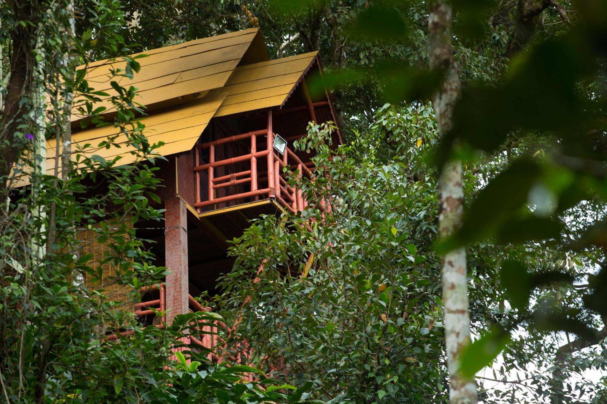 Bamboo Dale Resort, Munnar Exteriér fotografie