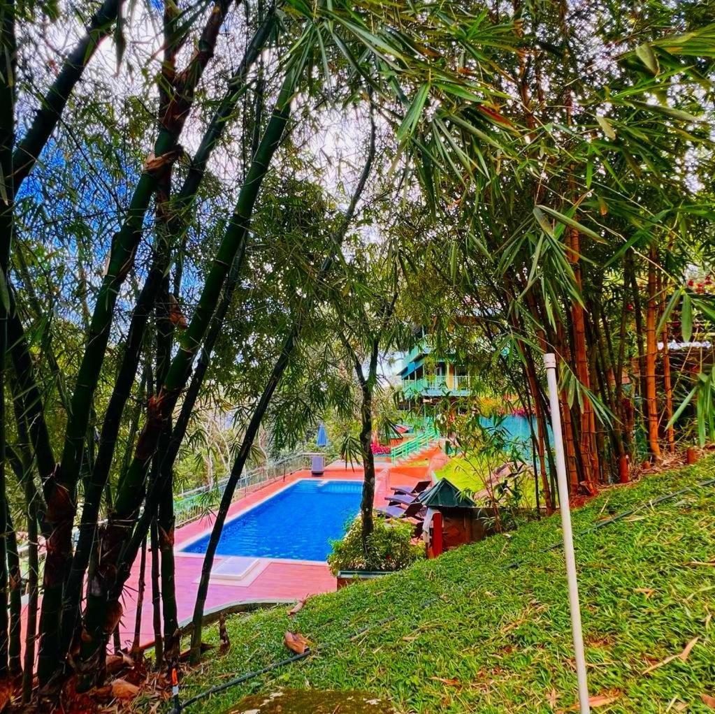 Bamboo Dale Resort, Munnar Exteriér fotografie