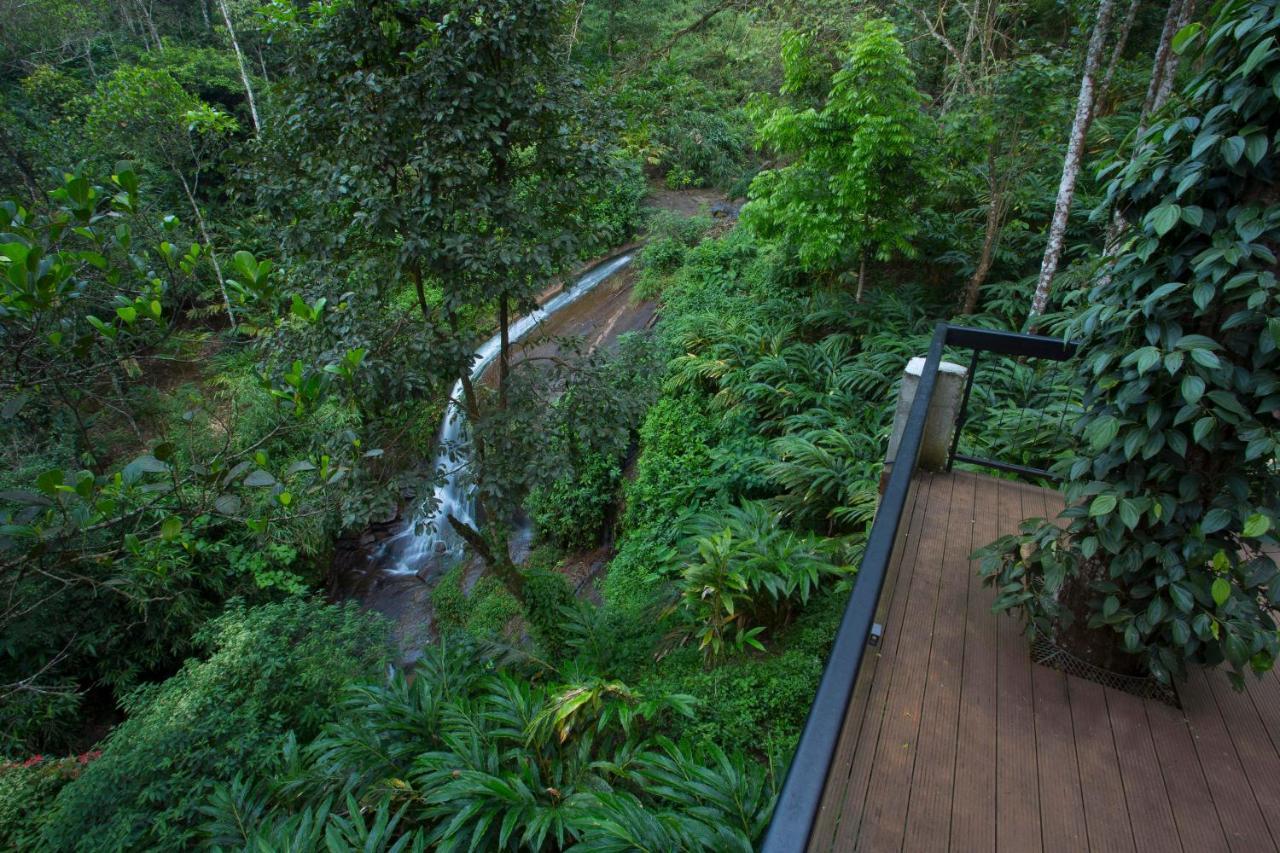Bamboo Dale Resort, Munnar Exteriér fotografie
